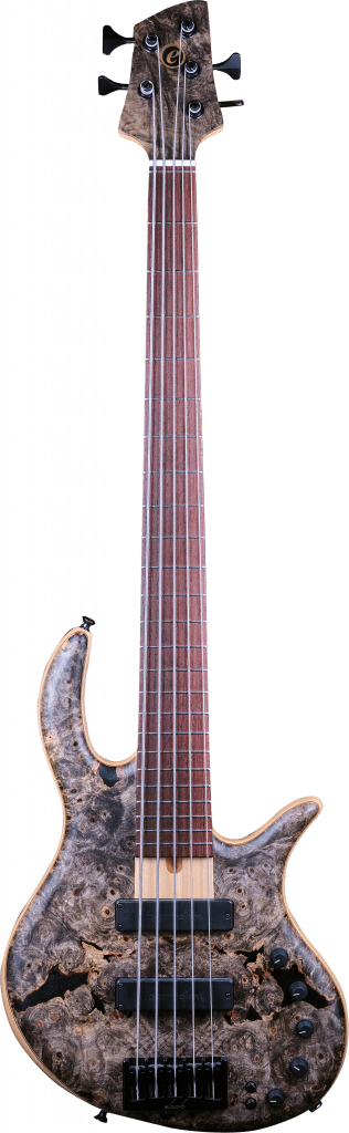 Elrick Gold Series E-Volution Bolt On 5 | Bass Buddha