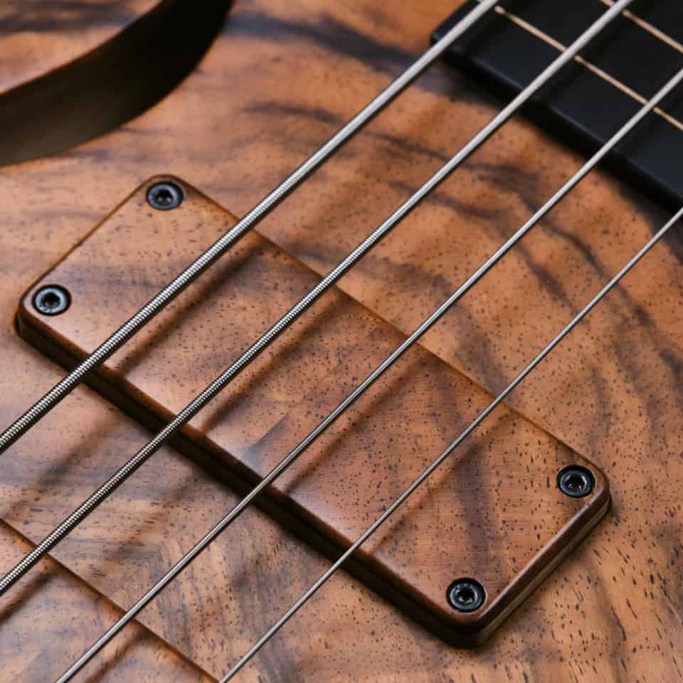 Overwater Hollowbody Thinline 4 Fretless | Bass Buddha