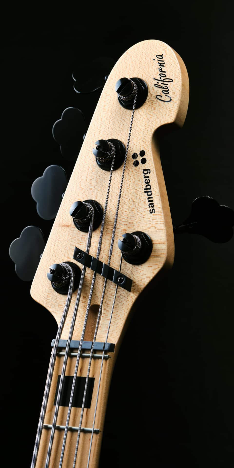 paulownia bass