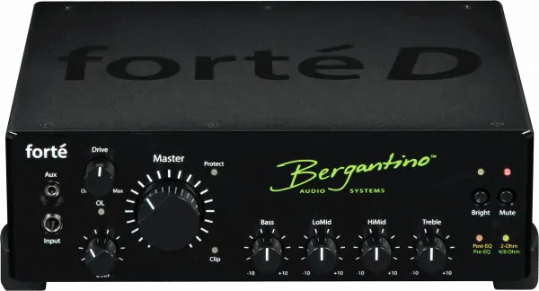 Bergantino Forte D Bass Amp