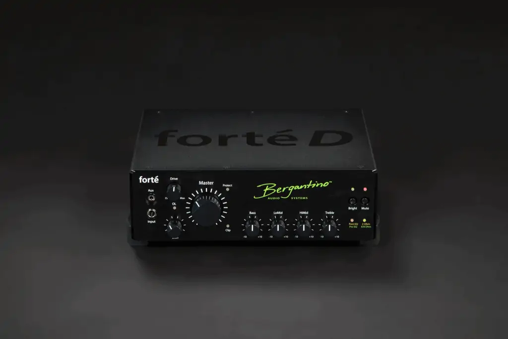 Bergantino Forté D Bass Amp | Bass Buddha