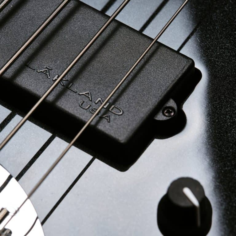 Lakland Skyline 55-02 Deluxe Black | Bass Buddha