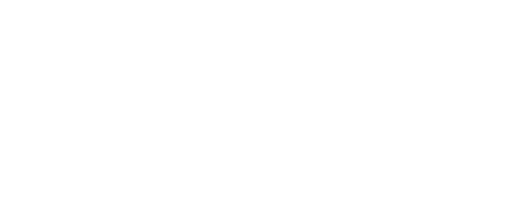Trondheim Audio Devices | Bass Buddha