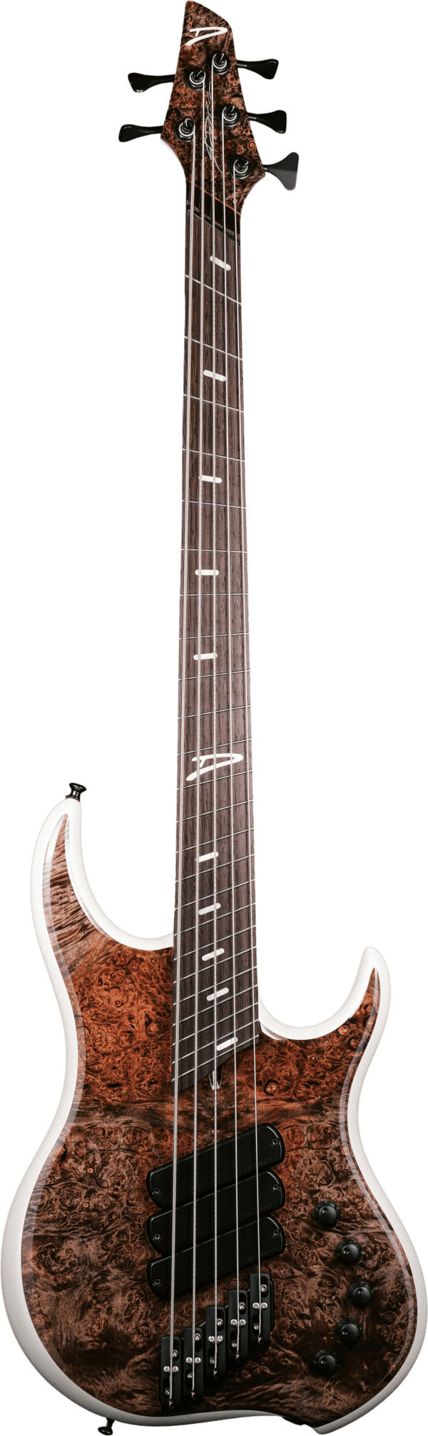 Dingwall Z3 Burled Maple Top