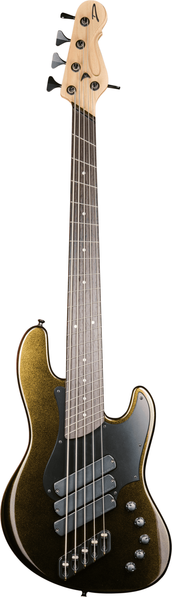 Dingwall Super J-5 Black Gold