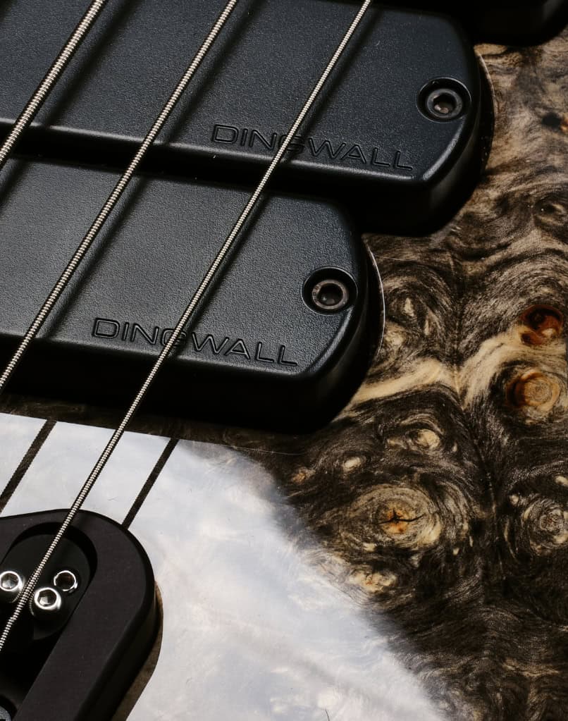Dingwall Afterburner II 5 Buckeye Burl (3)