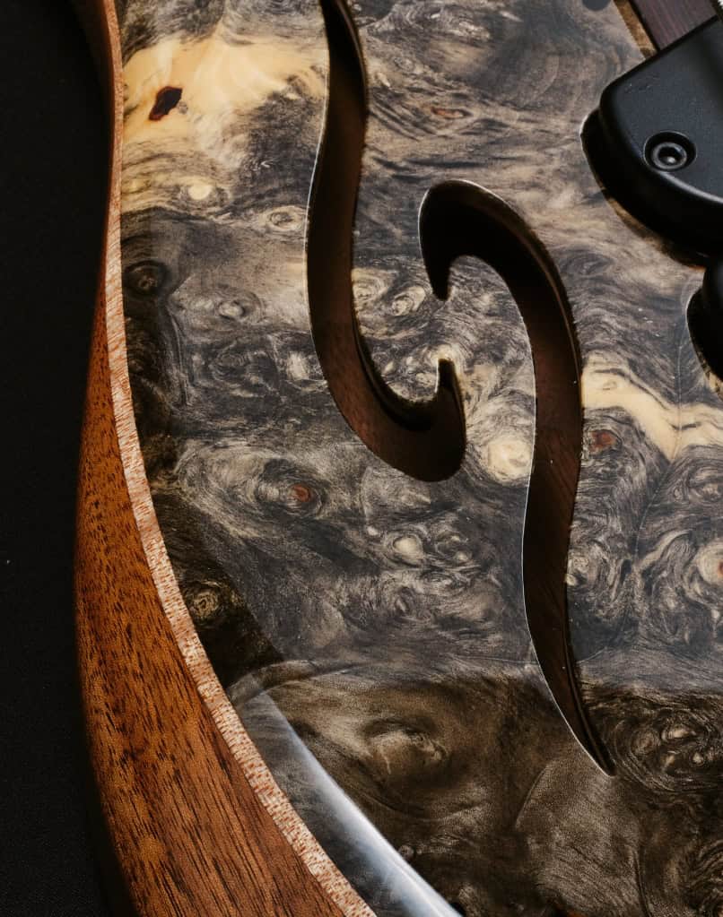 Dingwall Afterburner II 5 Buckeye Burl (4)